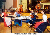 Violins, Guitar & Flute (Danube Swabian Club)