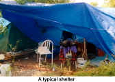 A typical shelter (Tent City)