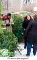 Christmas tree anyone? (Toronto Christmas Market)