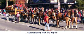 Classic brewery team and wagon  (Photo: Herwig Wandschneider)