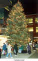 Fabulous tree  (Christkindl Market Kitchener)