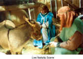 Live Nativity Scene  (Christkindl Market Kitchener)