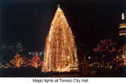 Magic lights at Toronto City Hall (Christkindl Market Toronto)