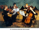 An amazingly advanced string quartet  (Forget-me-nots)