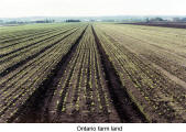 Ontario farm land