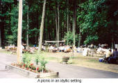 A picnic in an idyllic setting  (Burgenlaender Picnic)