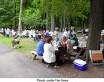 Picnic under the tree  (Burgenlaender Club)