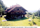 Aunt Sigrid's place - "home base" for the whole family - 1000 m up a mountain in Krnten