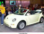 Convertible Bug