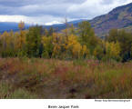 Beim Jasper Nationalpark  [photo: Paul-Bernhard Berghorn]