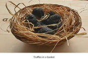 Truffles in a basket