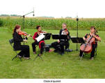 Classical quartet