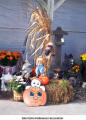 Halloween at Glen Echo Nursery