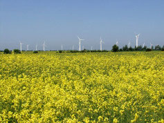 German Wind Farm