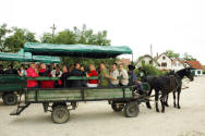 Cultural pilgrimage by the Toronto Danube Swabians