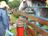 At the petting zoo