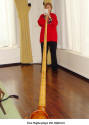 Eva Hajda playing the Alphorn