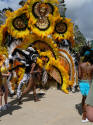 Caribana 2008