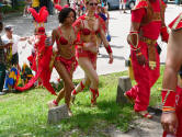 Caribana 2008