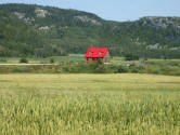 Cute little red-roofed house