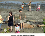 Tourists on shore at Bic National park (low tide)   [photo: Bob Sandbo]