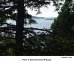 View of Saint Lawrence Estuary   [photo: Bob Sandbo]