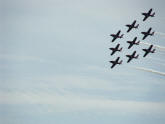 The Snowbirds