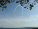 The Snowbirds