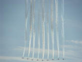 The Snowbirds