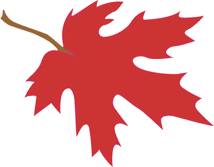 Maple leaf