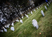 The graves tended by the Remembrance Society   [photo supplied]