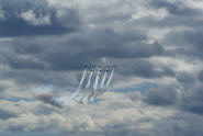 The Snowbirds