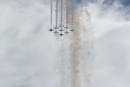 The Snowbirds