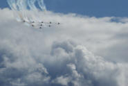 The Snowbirds