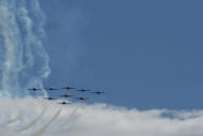 The Snowbirds