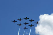 The Snowbirds