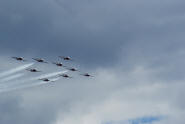 The Snowbirds