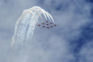 The Snowbirds