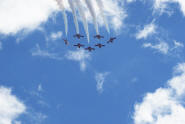 The Snowbirds