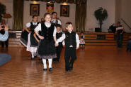 Dances by the Danube Swabian Youth