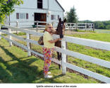 Sybille admires a horse of the estate