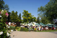 Lots of guests in a splendid setting